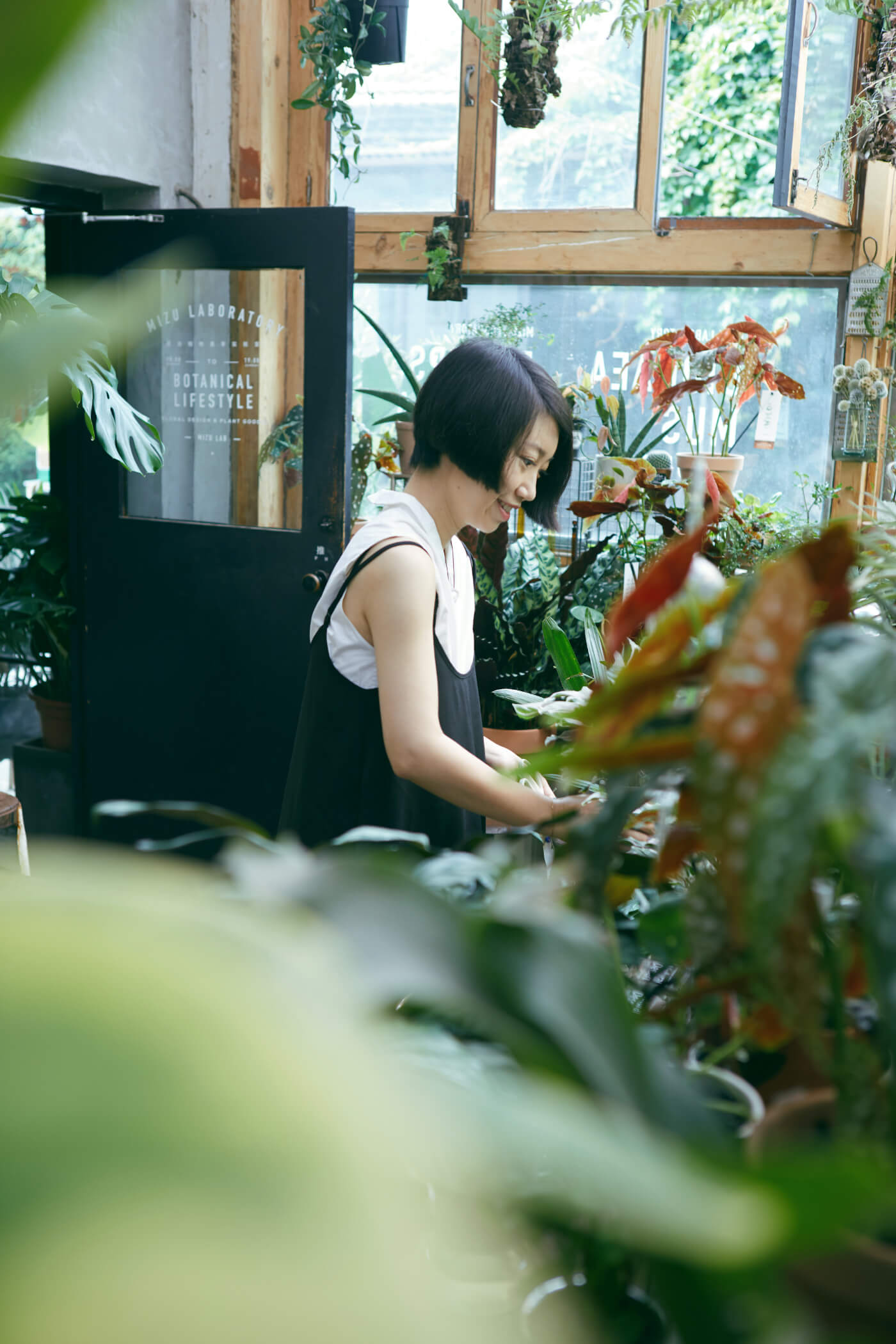 778A0032.jpg 778A0032.jpg